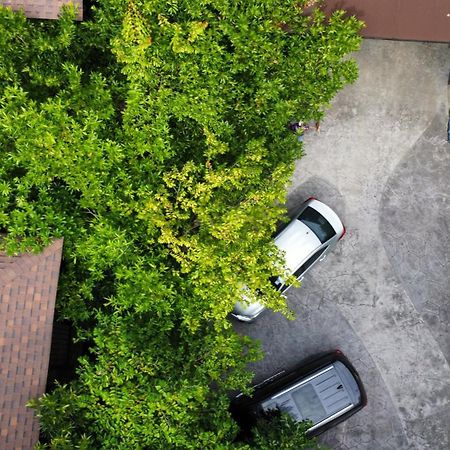At Leaf Villa شيانغ ماي المظهر الخارجي الصورة