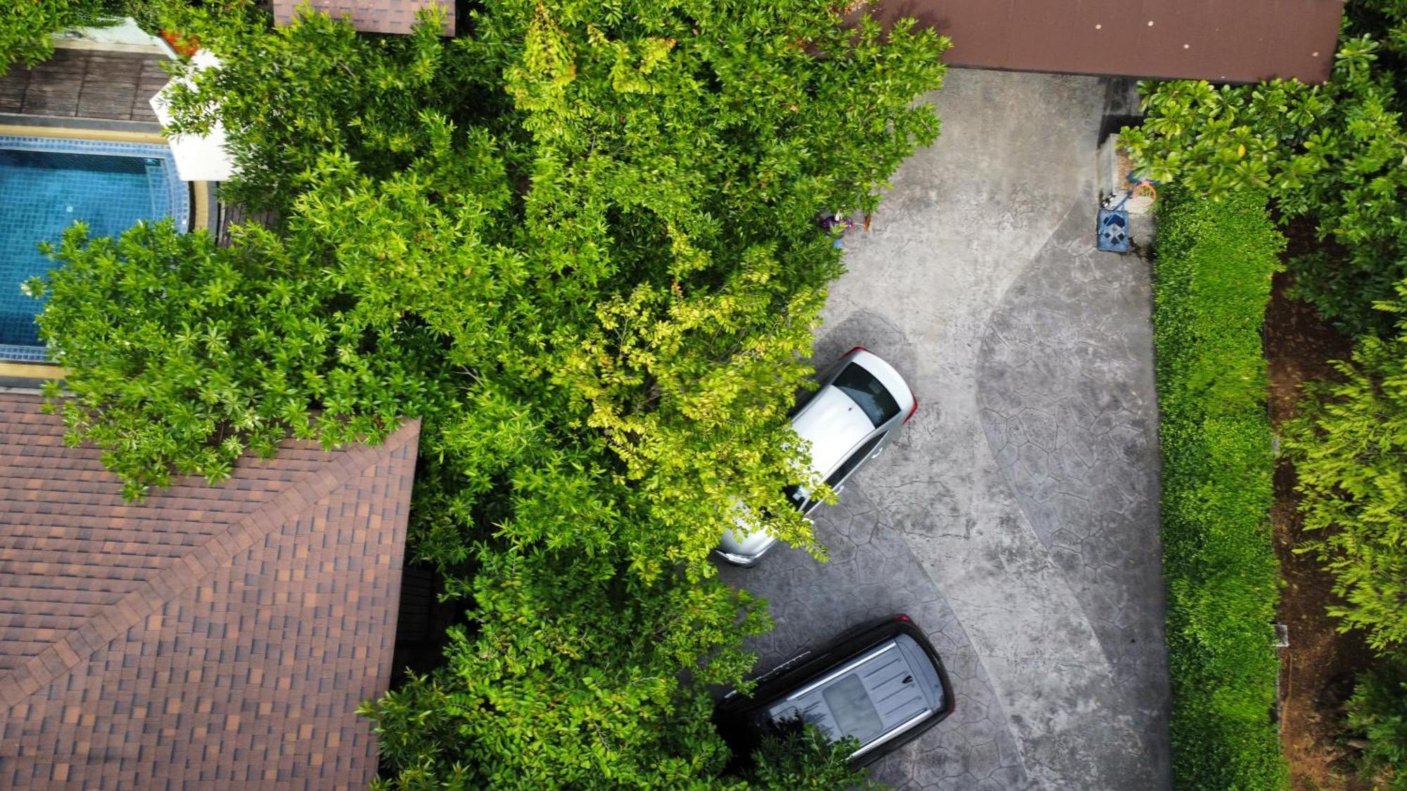 At Leaf Villa شيانغ ماي المظهر الخارجي الصورة